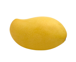 Similar image 21237244