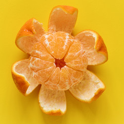 Similar image 21208549