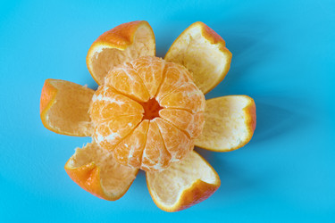 Similar image 21208601