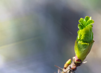 Similar image 21228492