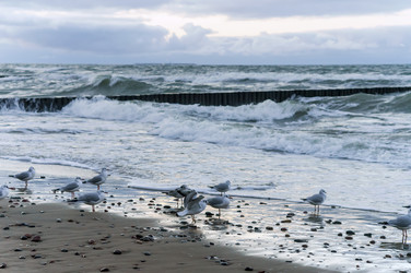 Similar image 21215763