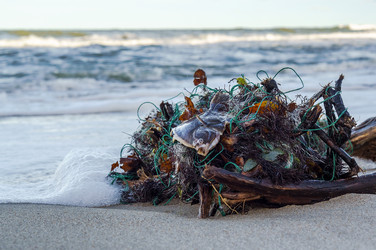 Similar image 21205620