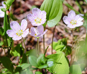 Similar image 21215770