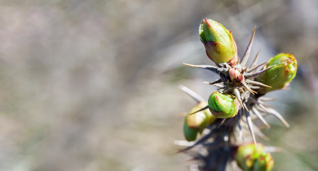 Similar image 21205624