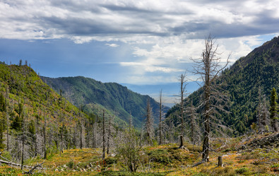 Similar image 21236475