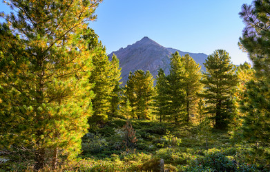 Similar image 21236496