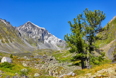 Similar image 21236500