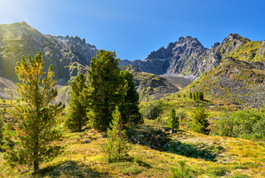 Similar image 21236501