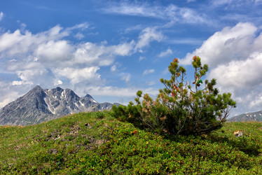 Similar image 21218585