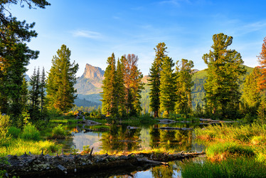 Similar image 21234564