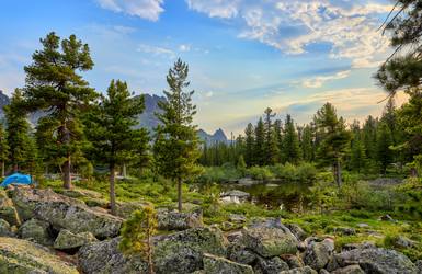 Similar image 21236477