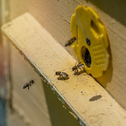 Similar image 21207323