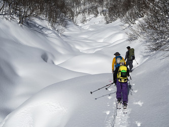 Similar image 21209631