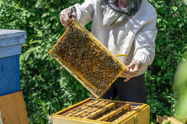 Similar image 21208398