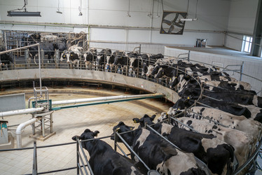 Similar image 21208401