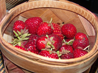 Similar image 21206919