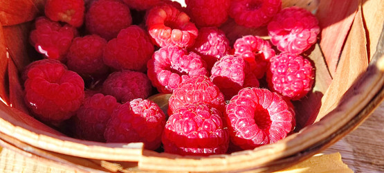 Similar image 21206920