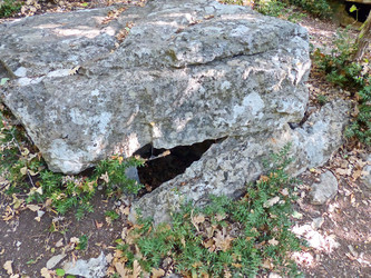 Similar image 21240665