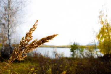 Similar image 21214060