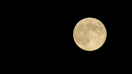 Similar image 21214068