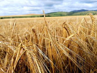 Similar image 21214074