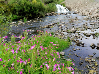 Similar image 21214075