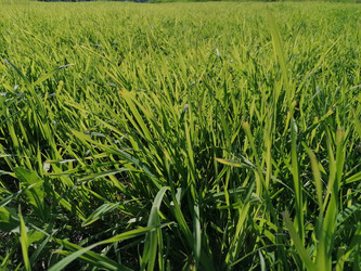 Similar image 21214076