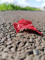 Similar image 21214077