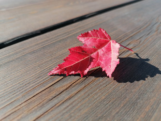 Similar image 21214078