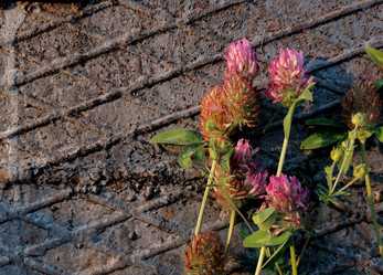 Similar image 21214079