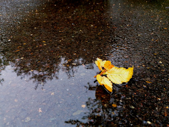 Similar image 21214081