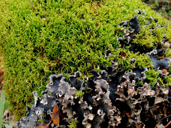 Similar image 21214084