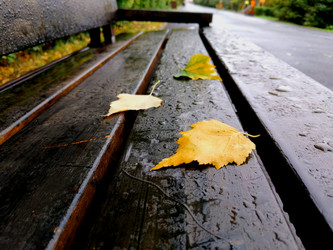 Similar image 21214085