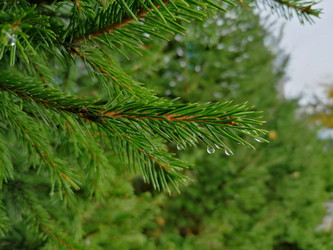 Similar image 21214086