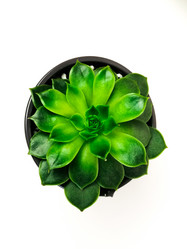 Similar image 21214088