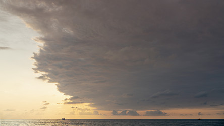 Similar image 21207326