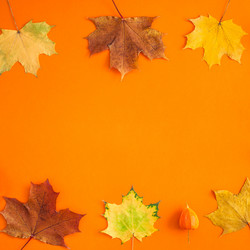 Similar image 21230410