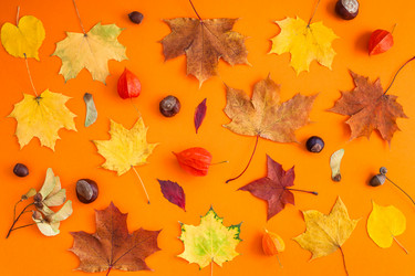 Similar image 21230411