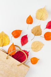 Similar image 21231101