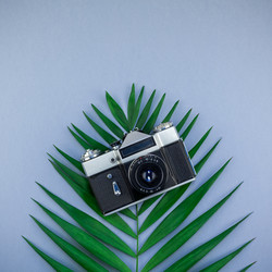 Similar image 21230272