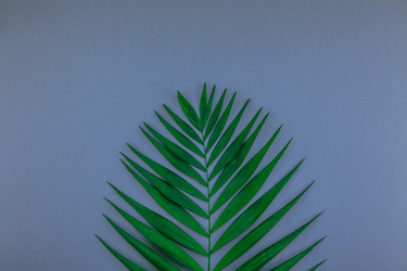 Similar image 21230273