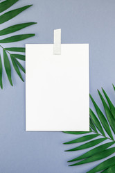 Similar image 21230426