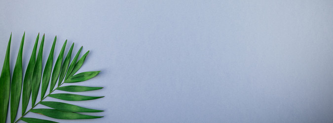 Similar image 21230989