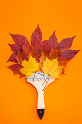 Similar image 21230571