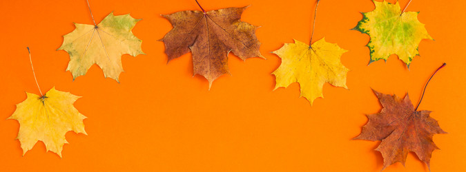 Similar image 21230575