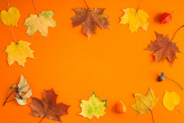 Similar image 21230579