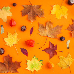 Similar image 21230583