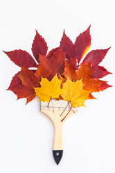 Similar image 21230584