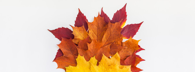 Similar image 21230586