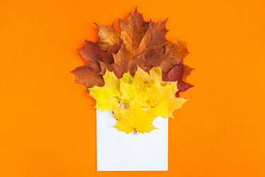 Similar image 21230595